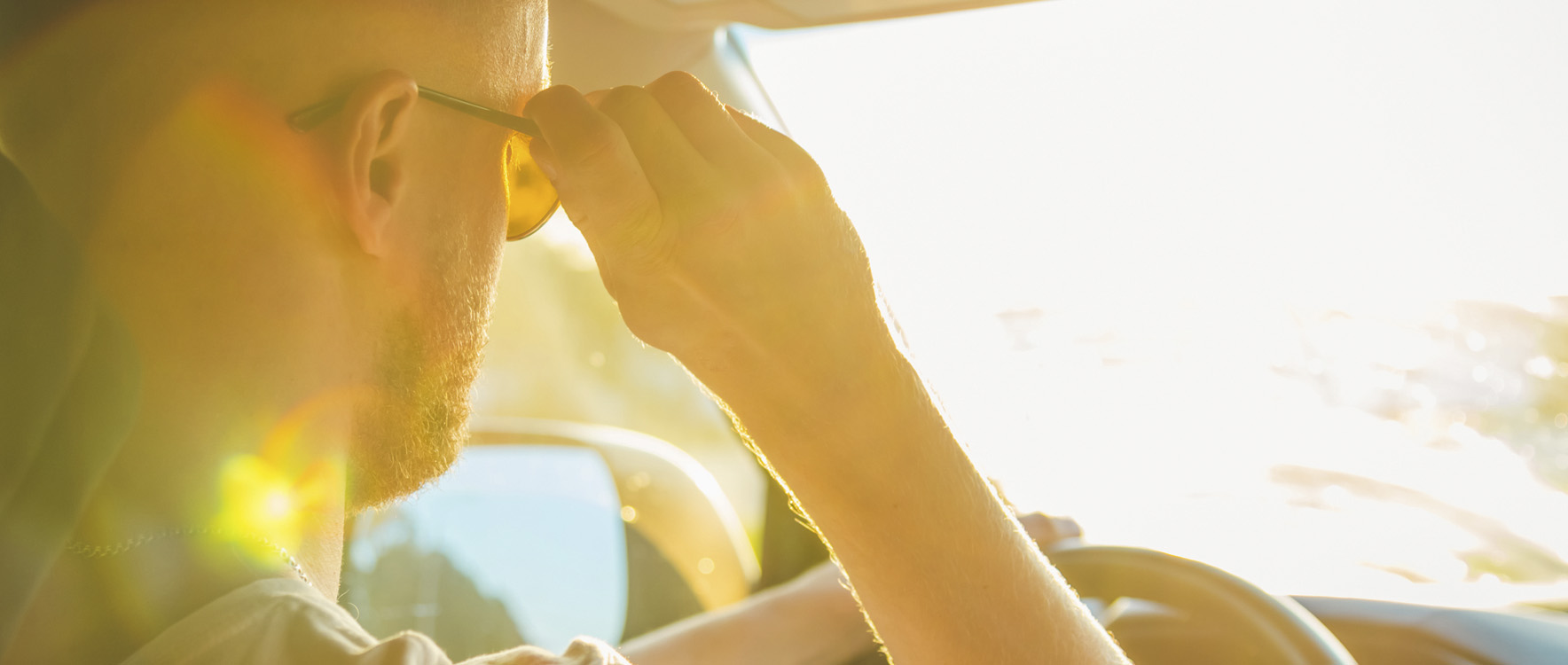 Driver putting on sunglasses in a car brightly lit by sunshine.